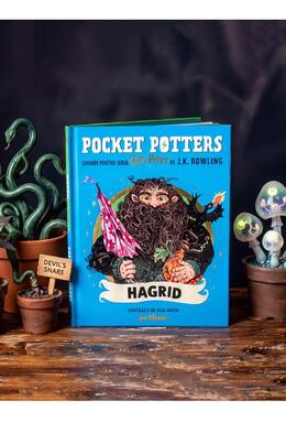 Copertă produs Pocket Potters: Hagrid (Vol. 6)
