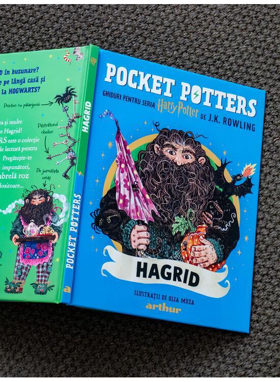 Copertă produs Pocket Potters: Hagrid (Vol. 6) - gallery big 4