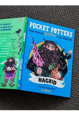 Copertă produs Pocket Potters: Hagrid (Vol. 6)