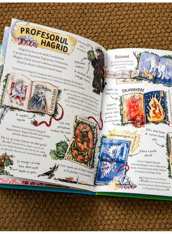 Copertă produs Pocket Potters: Hagrid (Vol. 6) - gallery big 6