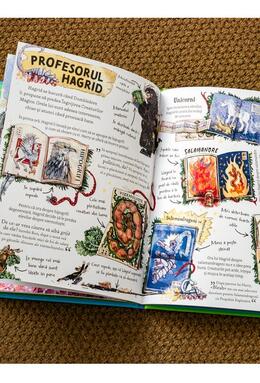 Copertă produs Pocket Potters: Hagrid (Vol. 6)