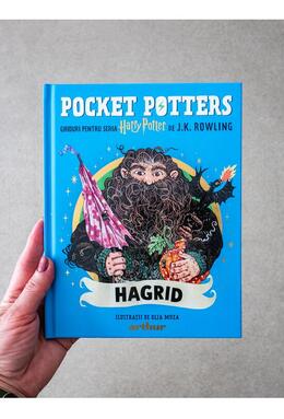 Copertă produs Pocket Potters: Hagrid (Vol. 6)