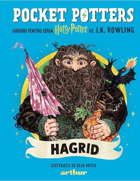 Pocket Potters: Hagrid (Vol. 6) - Hardcover - Arthur