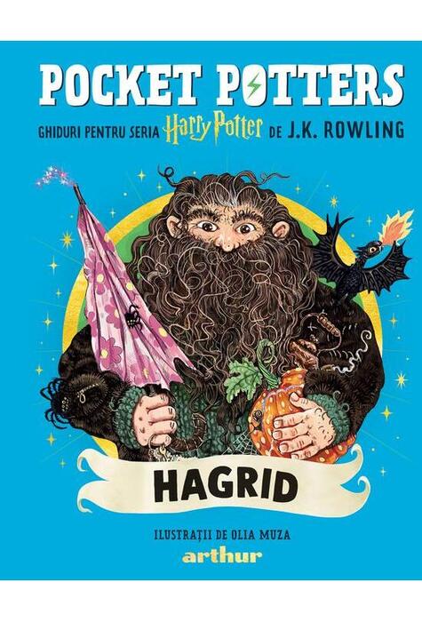 Copertă produs Pocket Potters: Hagrid (Vol. 6)
