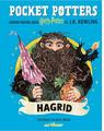 Copertă produs Pocket Potters: Hagrid (Vol. 6) - thumb 1