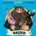 Copertă produs Pocket Potters: Hagrid (Vol. 6) - gallery small 