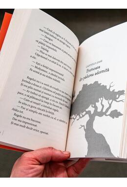 Copertă produs Un final grimminal (Vol. 3)