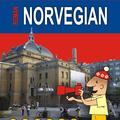 Copertă produs Ghid de conversație rom&acirc;n-norvegian - gallery small 