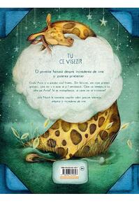 Copertă produs Povestea girafei care și-a pierdut visul