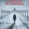 Copertă produs Cenușă &icirc;n zăpadă - gallery small 