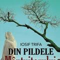 Copertă produs Din pildele M&acirc;ntuitorului - gallery small 
