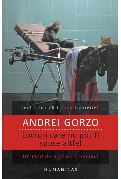 Copertă produs Lucruri care nu pot fi spuse altfel