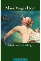 Copertă produs Elogiu mamei vitrege