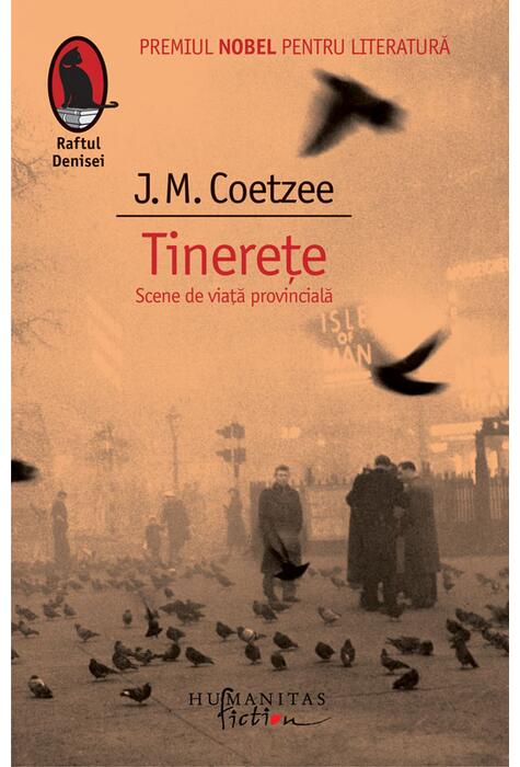 Copertă produs Tinereţe. Scene de viaţă provincială