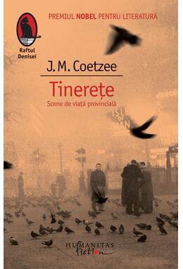 Copertă produs Tinereţe. Scene de viaţă provincială