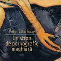 Copertă produs Un strop de pornografie maghiară - gallery small 