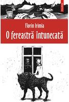 Copertă produs O fereastră întunecată