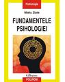 Copertă produs Fundamentele psihologiei - thumb 1