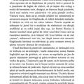 Copertă produs Baudolino - gallery small 