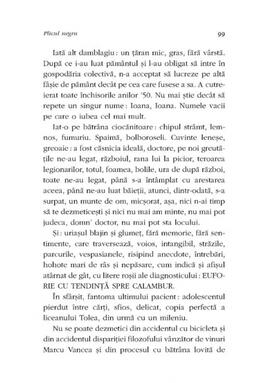 Copertă produs Plicul negru