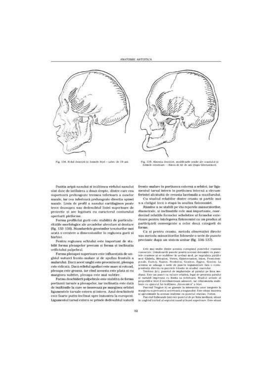 Copertă produs Construcţia corpului. Anatomie artistică (Vol. 1) - gallery big 6