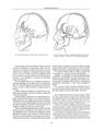 Copertă produs Construcţia corpului. Anatomie artistică (Vol. 1) - thumb 6