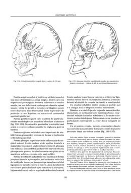 Copertă produs Construcţia corpului. Anatomie artistică (Vol. 1)