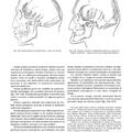 Copertă produs Construcţia corpului. Anatomie artistică (Vol. 1) - gallery small 