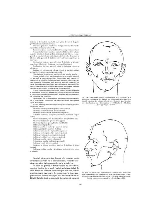 Copertă produs Construcţia corpului. Anatomie artistică (Vol. 1) - gallery big 7