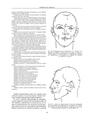 Copertă produs Construcţia corpului. Anatomie artistică (Vol. 1) - thumb 7