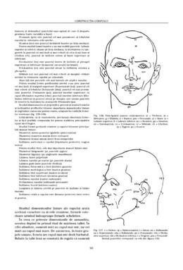 Copertă produs Construcţia corpului. Anatomie artistică (Vol. 1)
