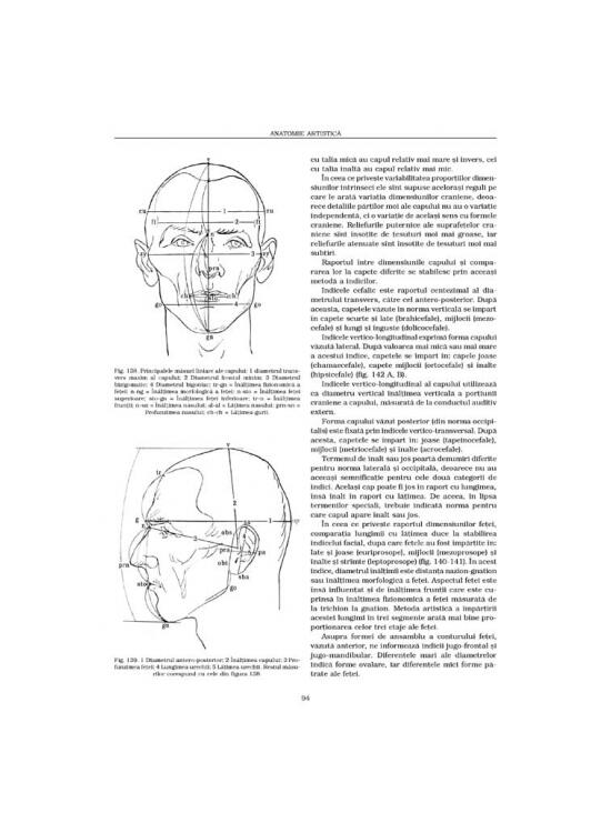 Copertă produs Construcţia corpului. Anatomie artistică (Vol. 1) - gallery big 8