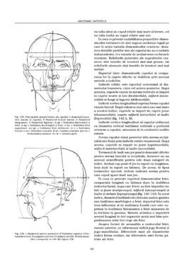 Copertă produs Construcţia corpului. Anatomie artistică (Vol. 1)
