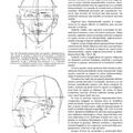 Copertă produs Construcţia corpului. Anatomie artistică (Vol. 1) - gallery small 