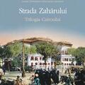 Copertă produs Strada Zahărului. Trilogia Cairoului (Vol. III) - gallery small 