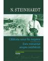 Copertă produs Calatoria unui fiu risipitor. Eseu romanţat asupra neizbânzii - thumb 1