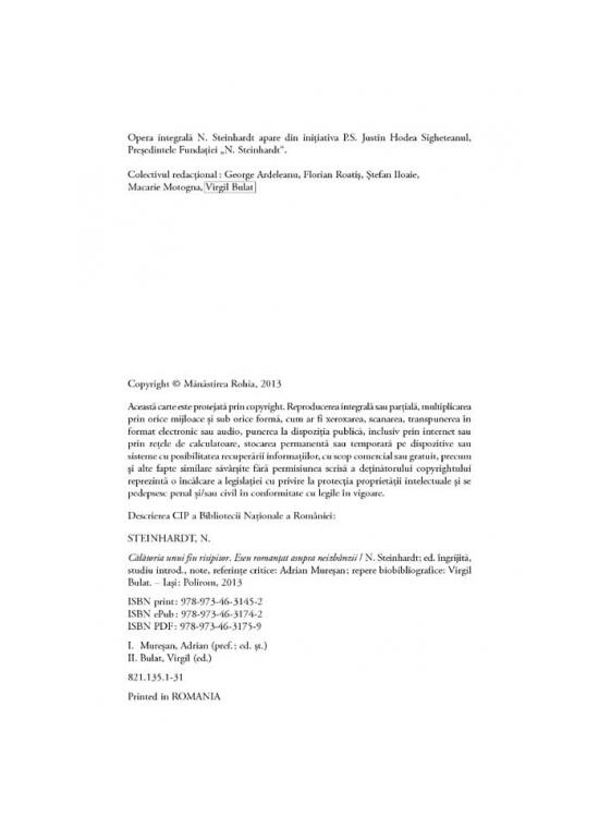 Copertă produs Calatoria unui fiu risipitor. Eseu romanţat asupra neizbânzii - gallery big 4