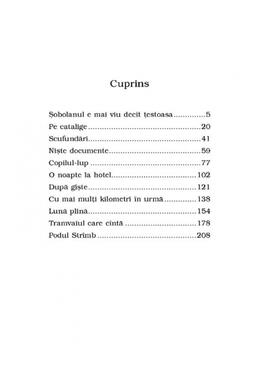 Copertă produs Celelalte poveşti de dragoste (Top 10+)