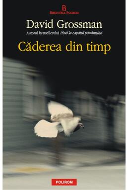 Copertă produs Căderea din timp