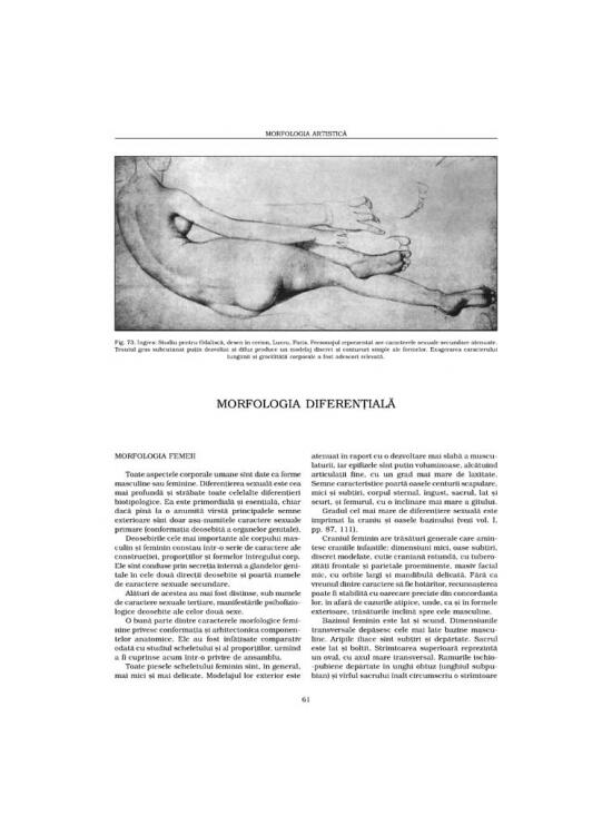 Copertă produs Morfologia artistică &ndash; Expresia. Anatomie artistică (Vol. 3) - gallery big 6