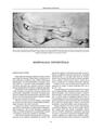 Copertă produs Morfologia artistică &ndash; Expresia. Anatomie artistică (Vol. 3) - thumb 6