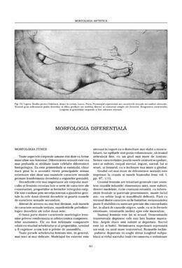 Copertă produs Morfologia artistică &ndash; Expresia. Anatomie artistică (Vol. 3)