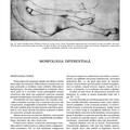 Copertă produs Morfologia artistică &ndash; Expresia. Anatomie artistică (Vol. 3) - gallery small 