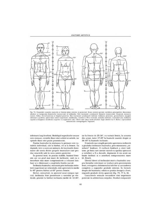 Copertă produs Morfologia artistică &ndash; Expresia. Anatomie artistică (Vol. 3) - gallery big 7