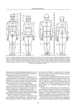 Copertă produs Morfologia artistică &ndash; Expresia. Anatomie artistică (Vol. 3)