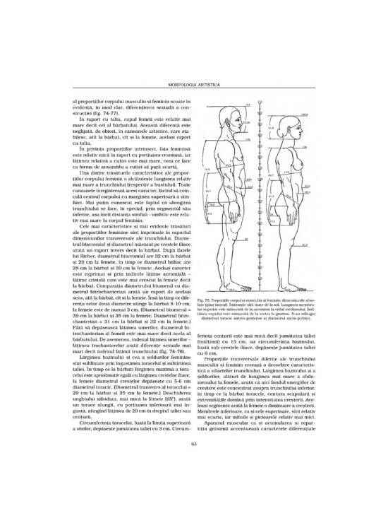Copertă produs Morfologia artistică &ndash; Expresia. Anatomie artistică (Vol. 3) - gallery big 8