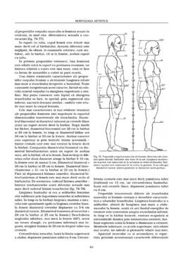Copertă produs Morfologia artistică &ndash; Expresia. Anatomie artistică (Vol. 3)
