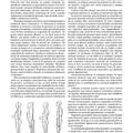 Copertă produs Formele corpului &icirc;n repaus şi mişcare. Anatomie artistică (Vol. 2) - gallery small 