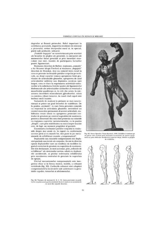 Copertă produs Formele corpului &icirc;n repaus şi mişcare. Anatomie artistică (Vol. 2) - gallery big 7