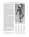 Copertă produs Formele corpului &icirc;n repaus şi mişcare. Anatomie artistică (Vol. 2) - thumb 7